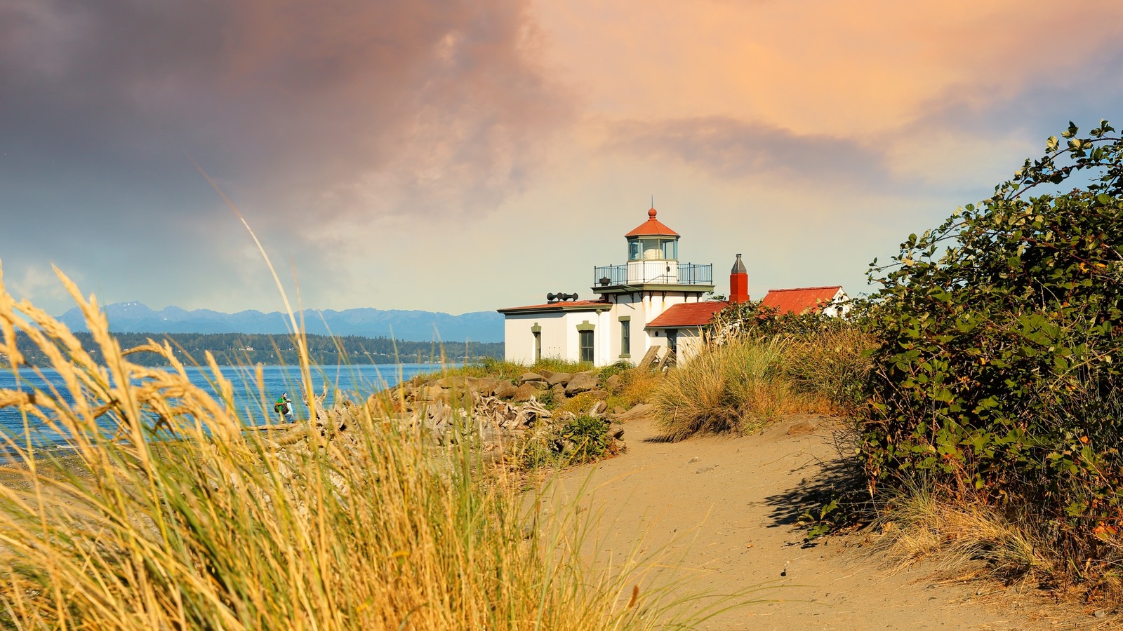 Discovery Park