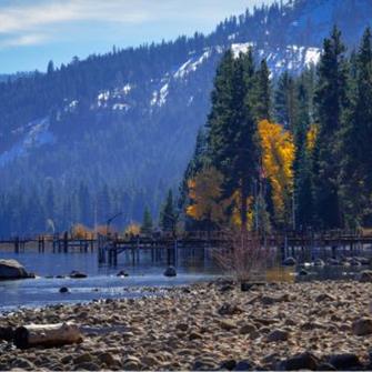 Untitled Design (10)