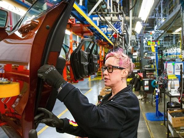Manufacturing & Skilled Trades (15)