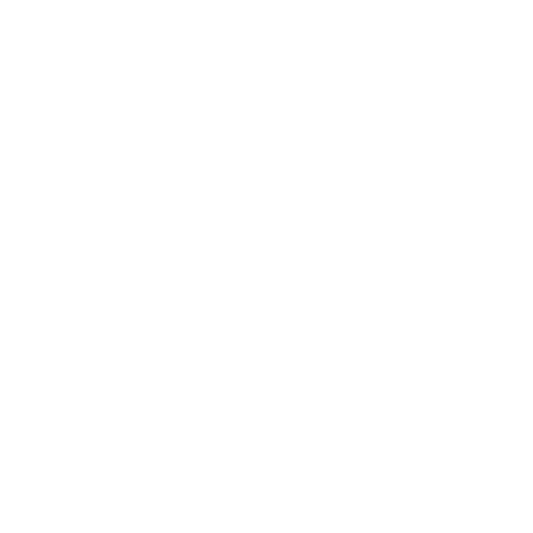 05 14 2024 Diversity Inc Top 50 Logo White
